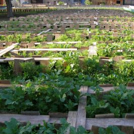 Parc pour les escargots fermiers près de Lyon